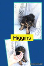 SOLD- Click On Picture For More Info- Deposit for Higgins