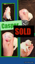 SOLD- Click On Picture For More Info- Deposit for Casper