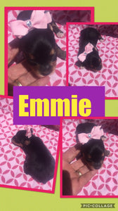 SOLD- Click On Picture For More Info- Deposit for Emmie