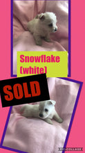 SOLD- Click On Picture For More Info- Deposit for Snowflake