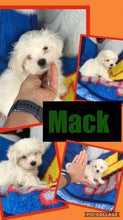 SOLD- Click On Picture For More Info- Deposit for Mack